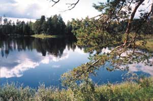 Озеро Городно близ Никандрово